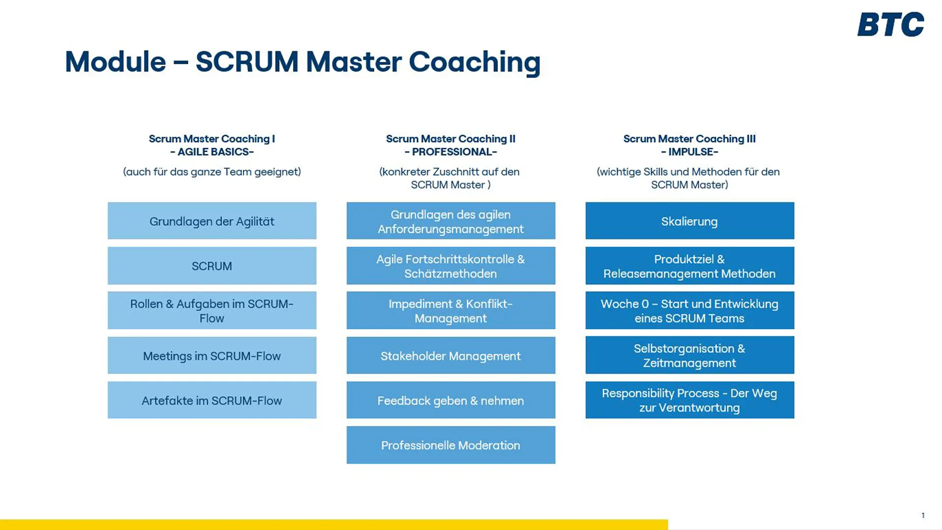 SCRUM Master Coaching mit BTC